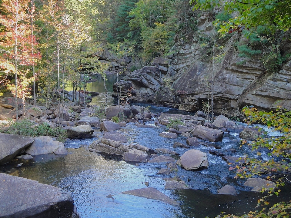 Creek water rocks