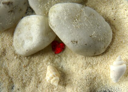 Stones shell greeting card