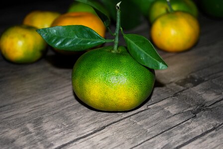 Tangerine citrus mandarins