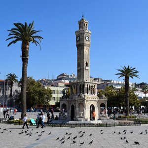 Timepiece pigeons tourism