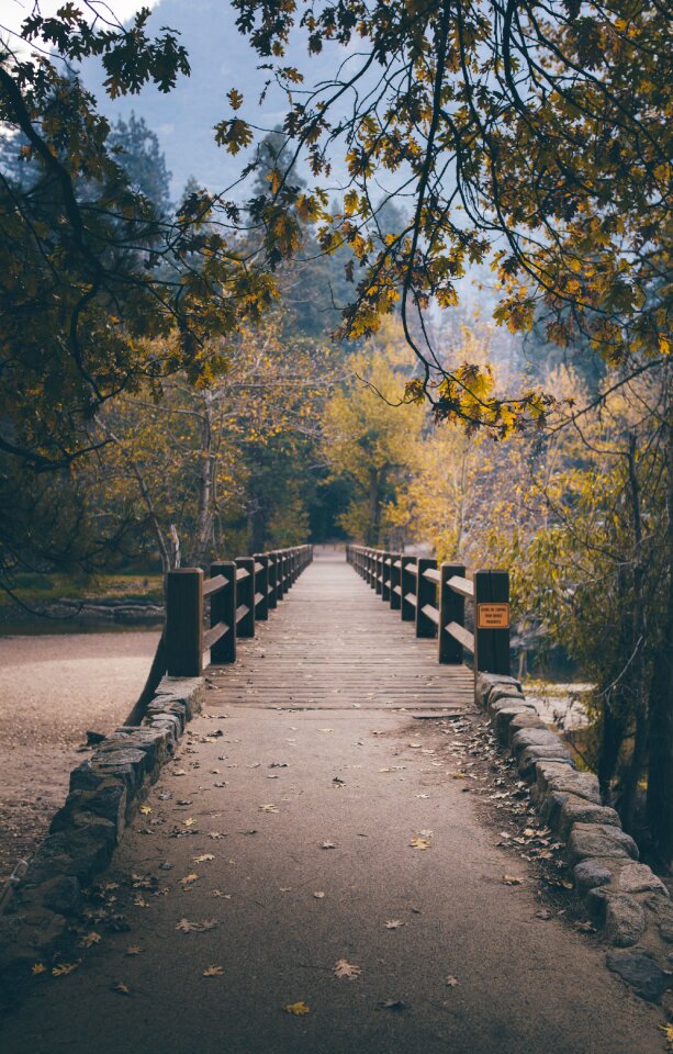 Destination social content