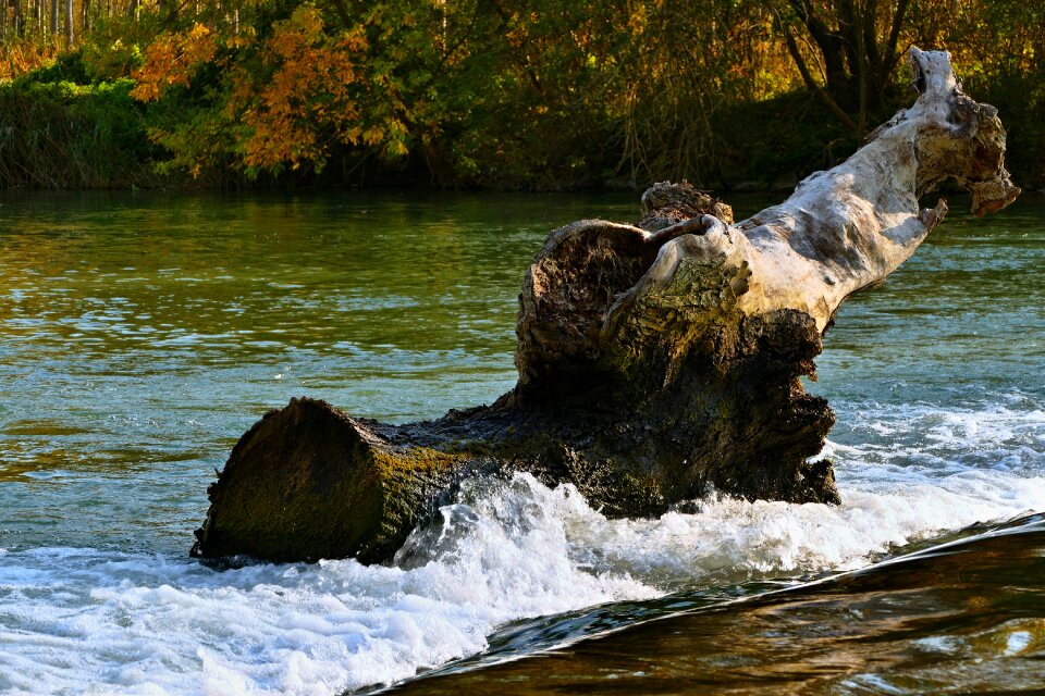 Stump waterfall nature