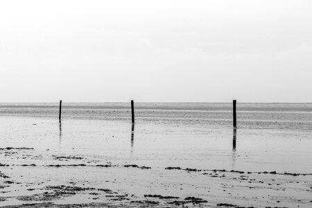 Sea landscape nature