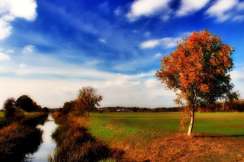 Bach all northern germany