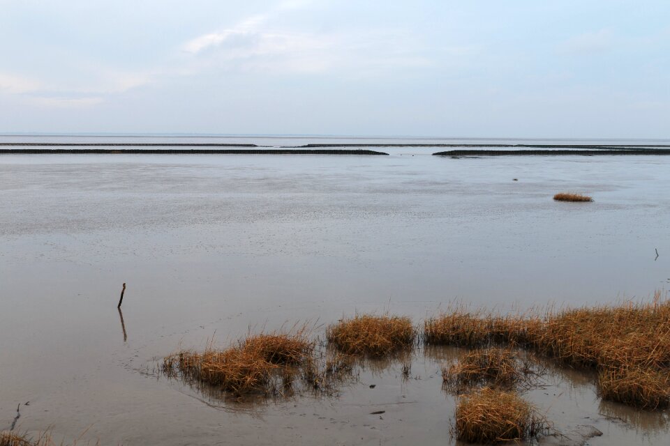 Sea landscape nature