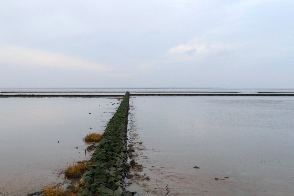 Sea landscape nature