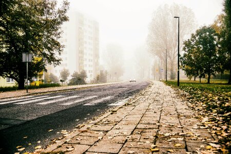 Asphalt city traffic