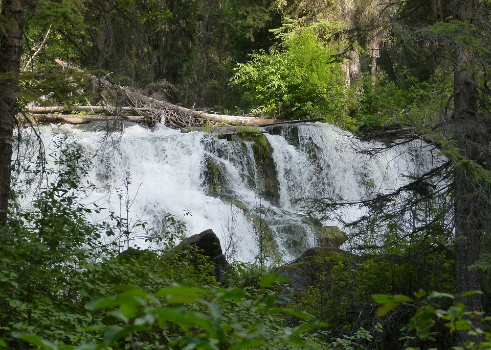 Nature natural water scenery