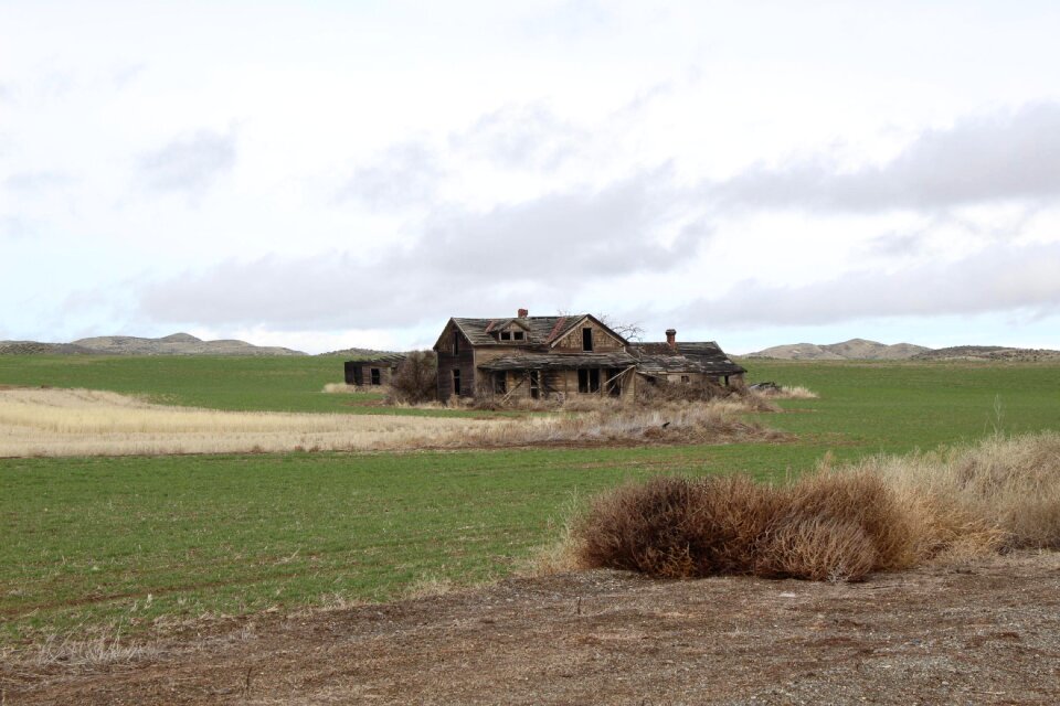 Landscape washington