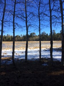 Winter six