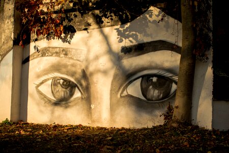 Street art eyes graffiti photo