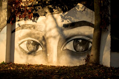 Street art eyes graffiti