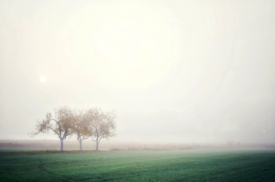 Green morning minimalism