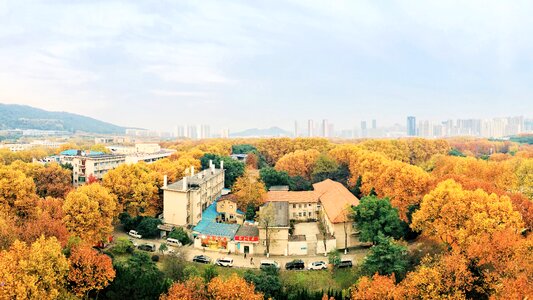 Autumn tech house nezahualcóyotl