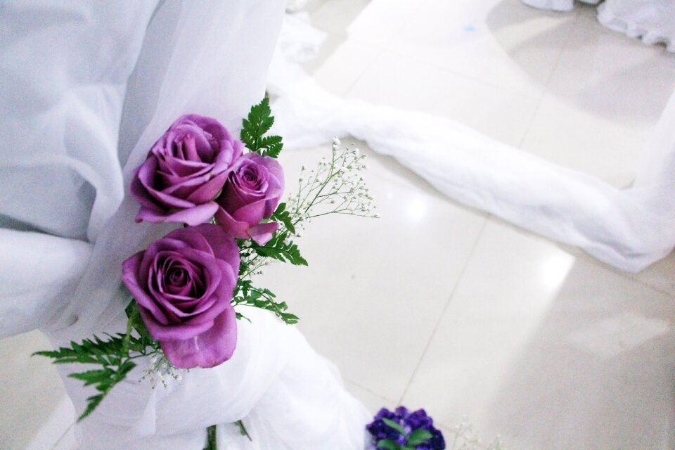 Purple flower background