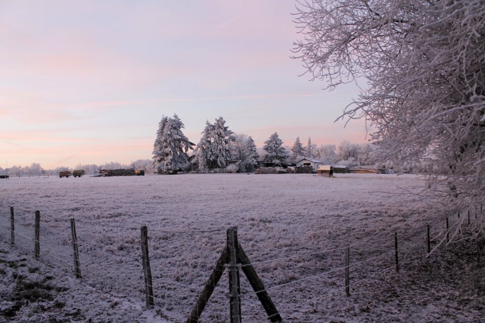 Cold landscape nature