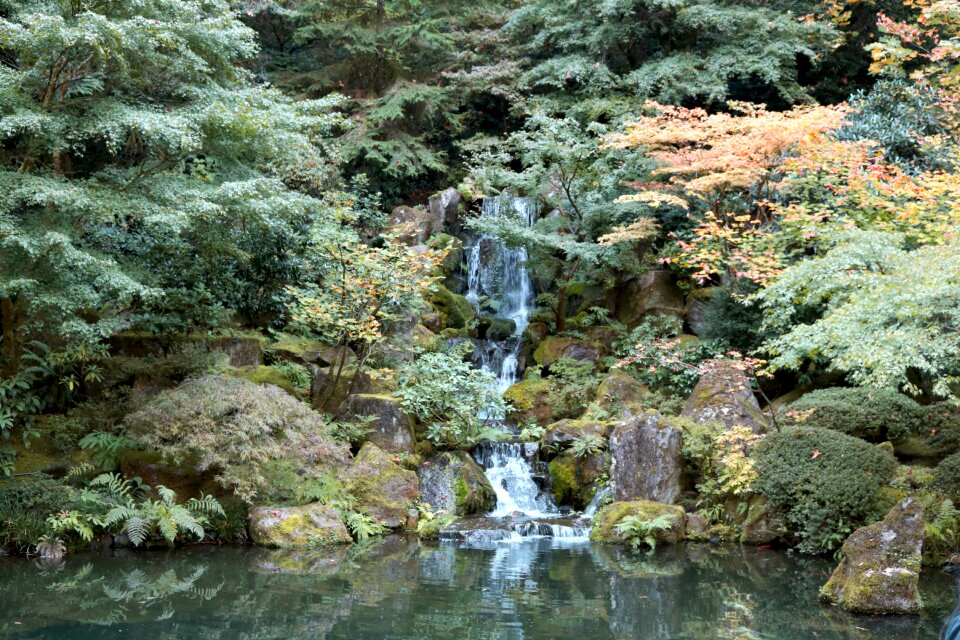 Landscape water moss photo