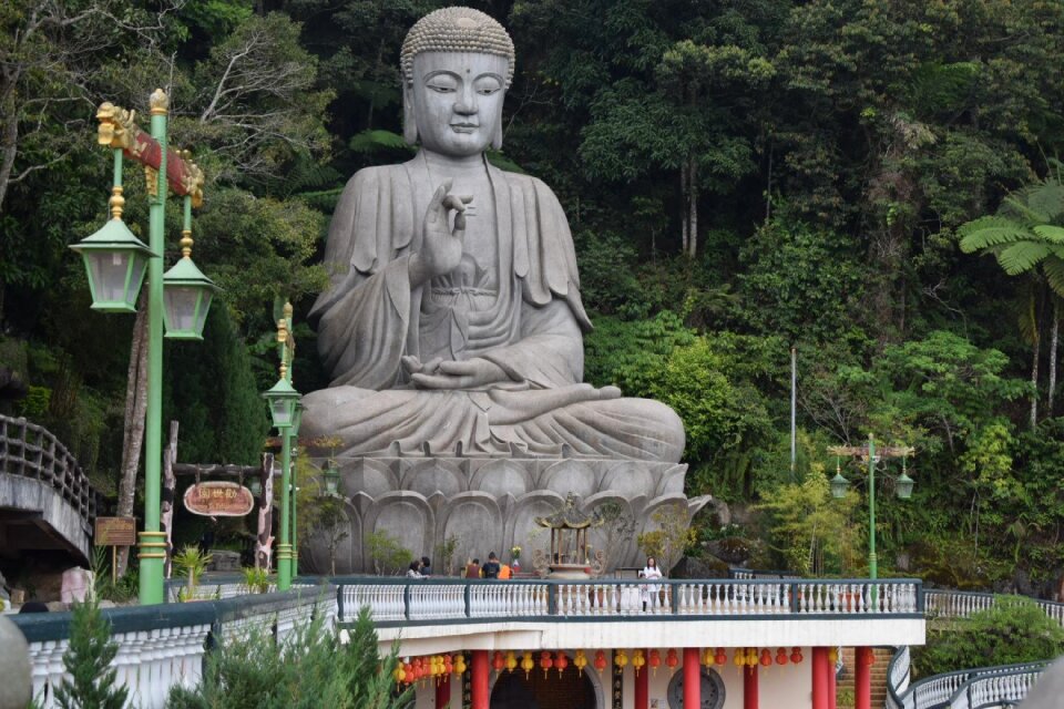 Buddhism meditation