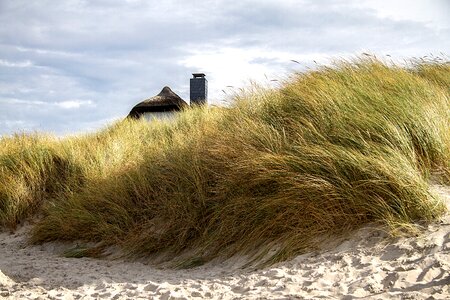 Thatched roof darss baltic sea beach photo