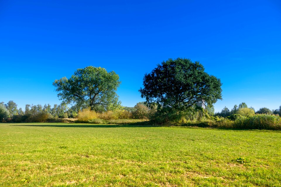 Landscape nature hunting