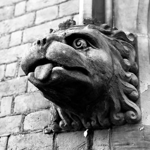 Lion stone sculpture