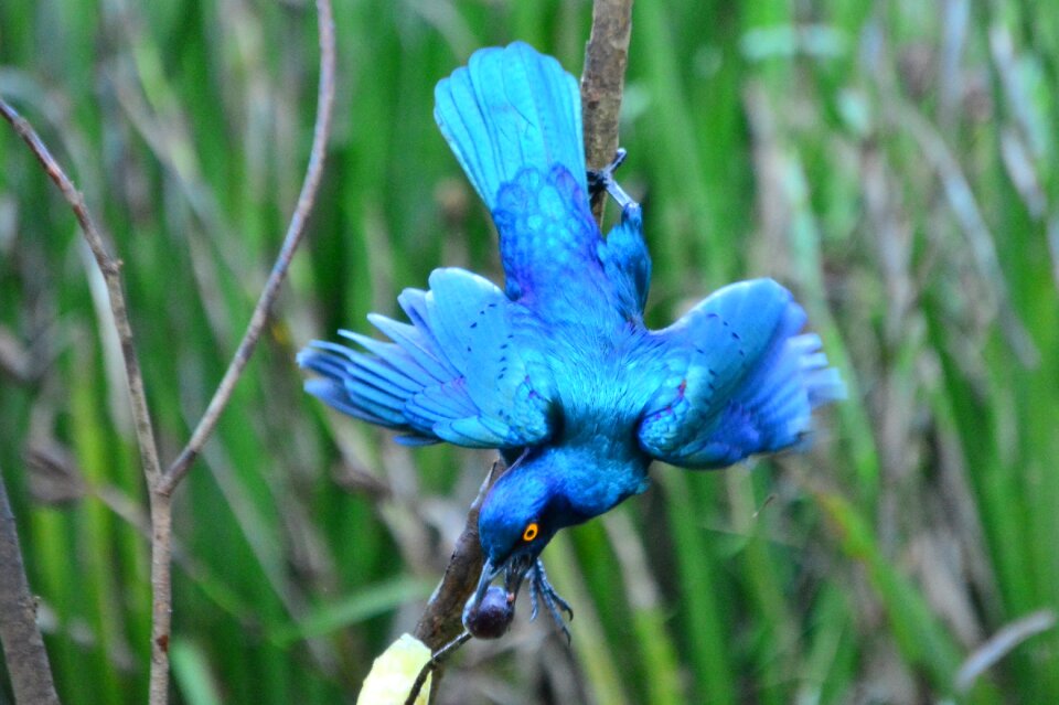 Colorful outdoors blue