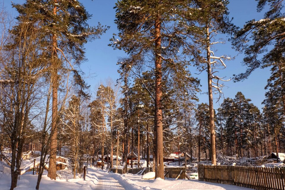 Snow russia leningradoblast