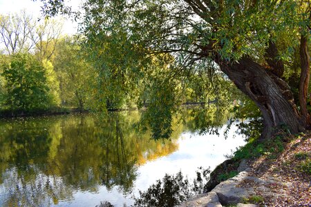 Bank landscape water