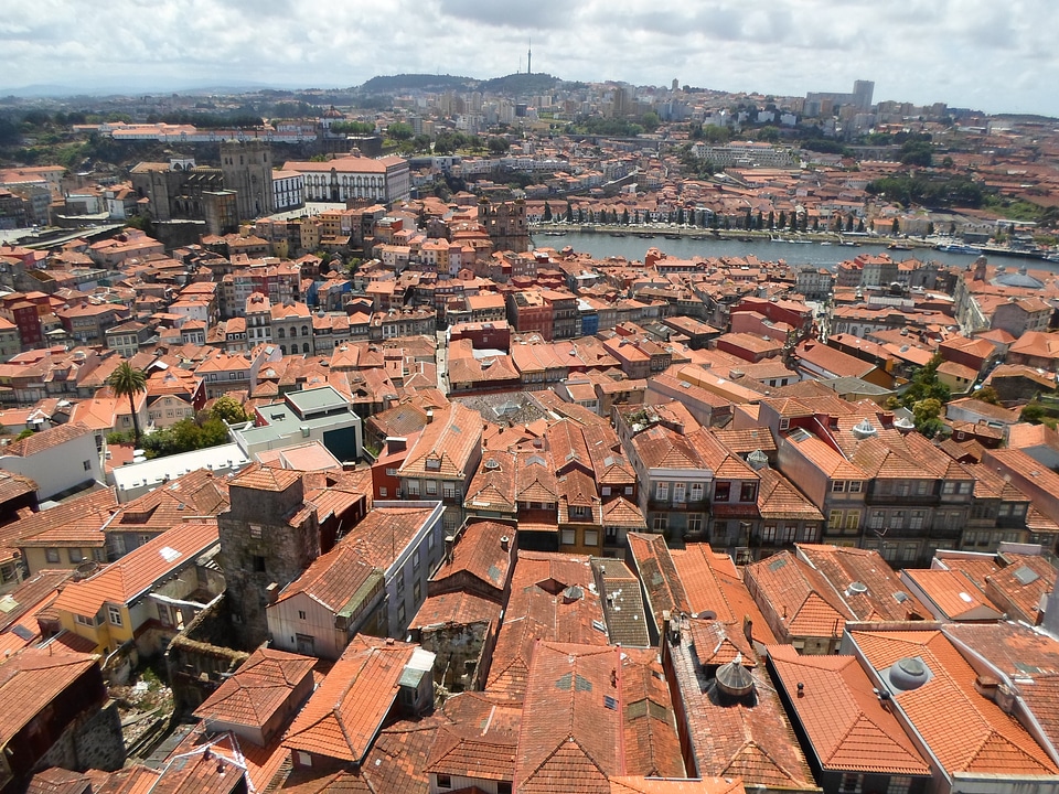 Roofs city panorama
