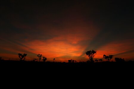 Sunrise golden rays wallpaper