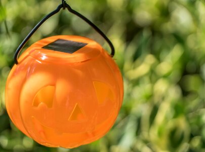 Bokeh autumn pumpkins