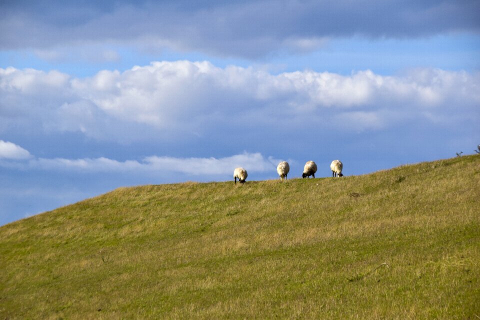 Landscape north sea rest