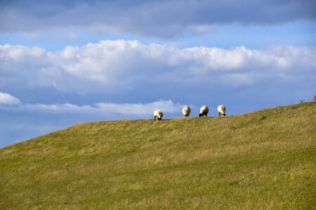 Landscape north sea rest