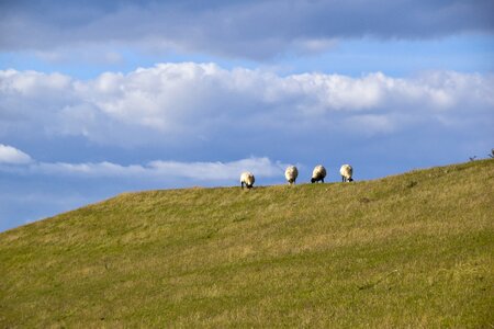 Landscape north sea rest photo