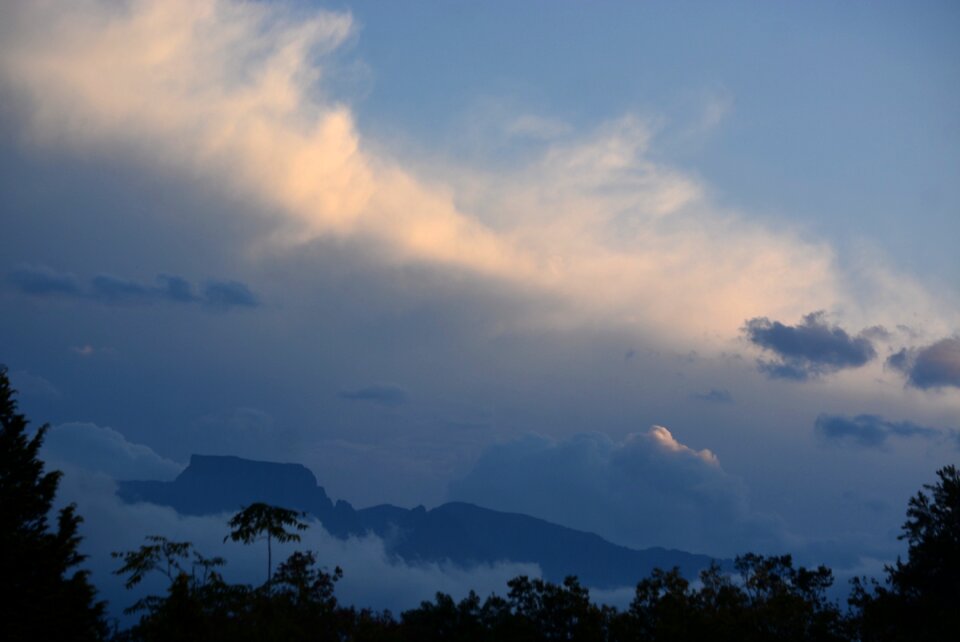 Nature evening scenic