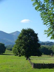 Pyrenees navarre close