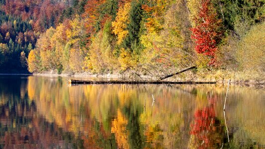 Reflection landscape fall photo