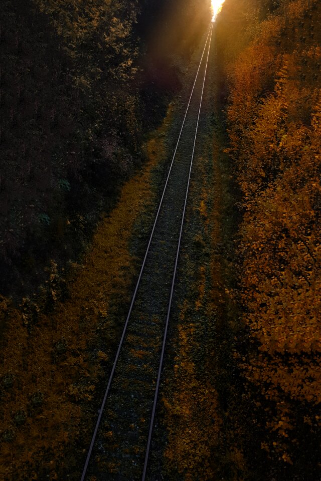 Sunset sky forest