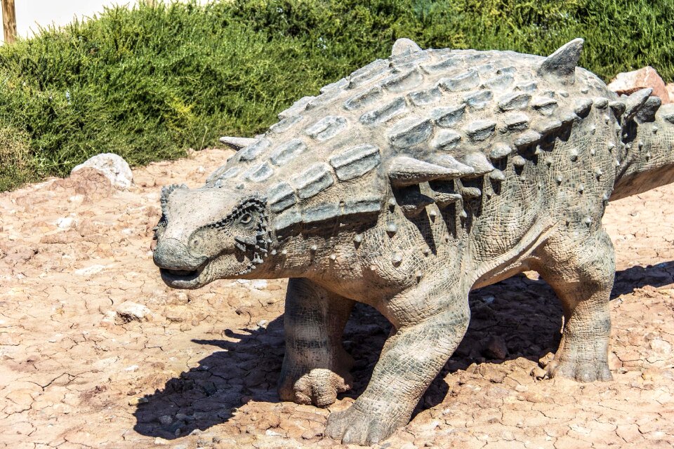 Dino extinct evolution