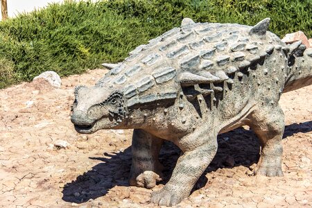 Dino extinct evolution
