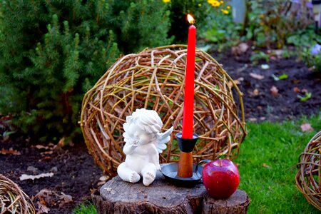 Fire garden apple