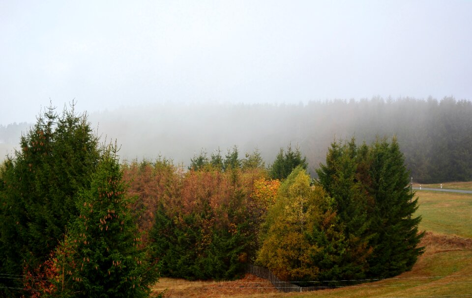 Forest road thuringian forest