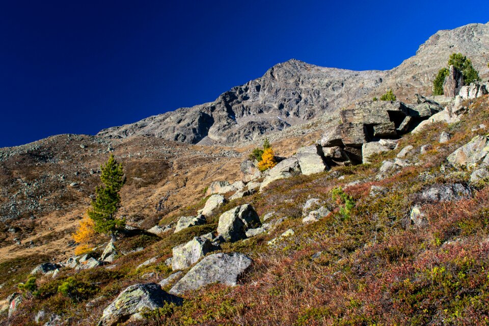 Remote height alpine