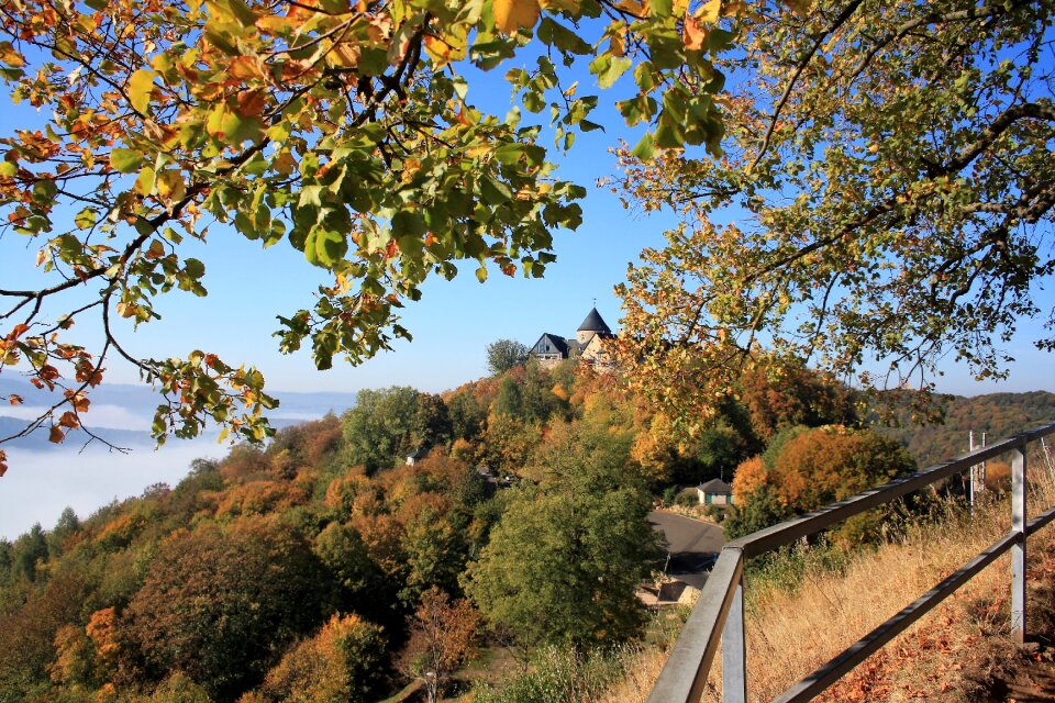 Trees schlossberg trail