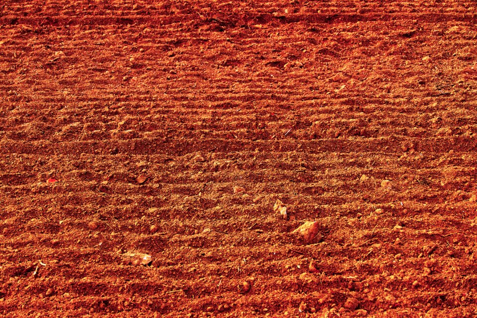 Field order dry lines