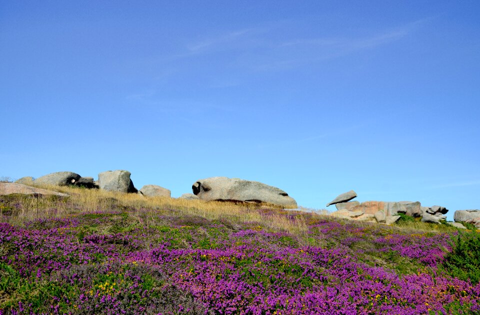 Beach rock landscape