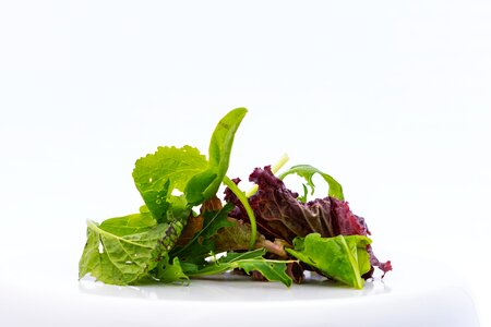 Vegetables lettuce leaves photo