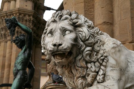 Firenze history sculpture photo