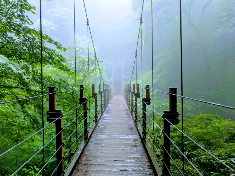 Nature landscape green