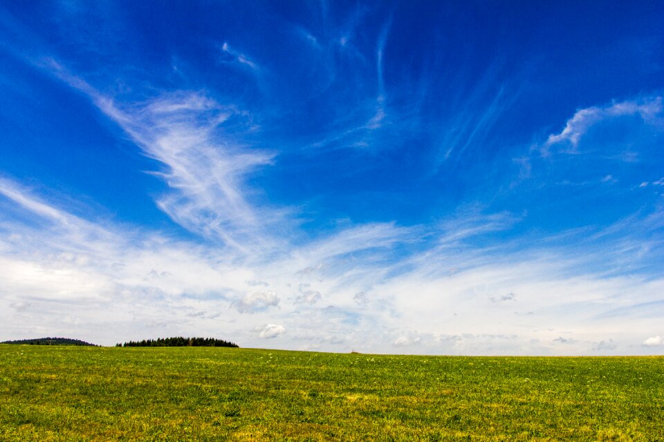 Summer nature landscape